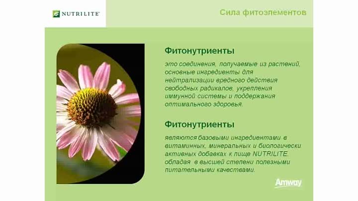 Презентация Nutrilite.