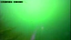 Подводный мир Красковского карьера 23 декабря 2017 года