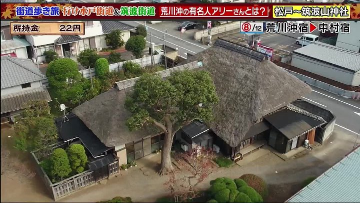 土曜スペシャル 動画 ハードな街道歩き旅第４弾！紅葉の筑波山までのルートは過酷すぎ | 2022年12月10日