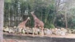 My family in the ZOO in Columbia SC