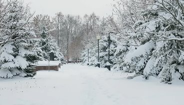 Речица. Первый снег. 22.11.2022. Беларусь.