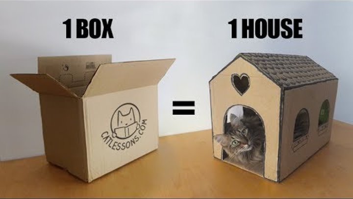 Como hacer casita de carton para gatos