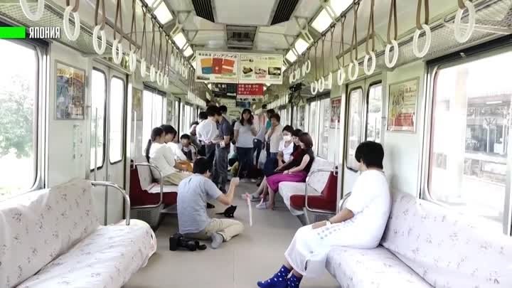 В Японии запустили поезд с котами
