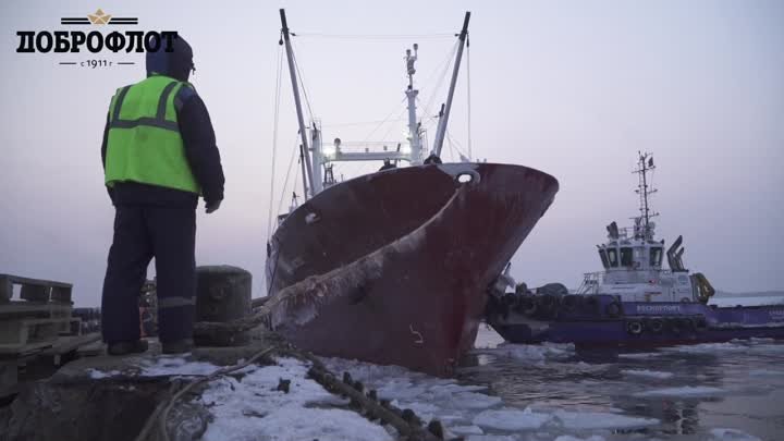 Порт «Южная Лифляндия» обработал судно CRYSTAL ARCTICA