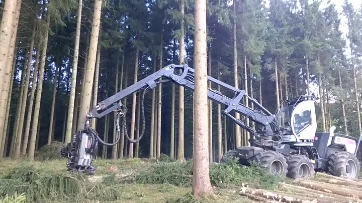 Logset 8H GT  clear-cut harvester