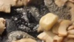 Блины с курицей и грибами с соусом бешамель