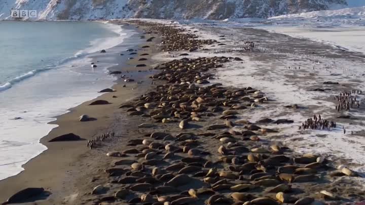 Шикарное видео о тайнах и природе океана