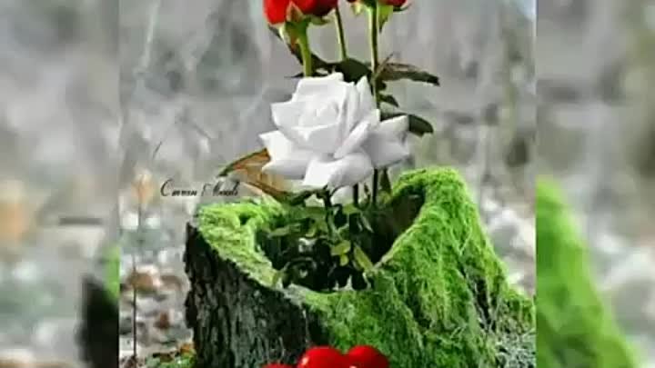 💝💚💖 Қалай  ұмытам... ?! Қайрат Нұртас 💝💚💖