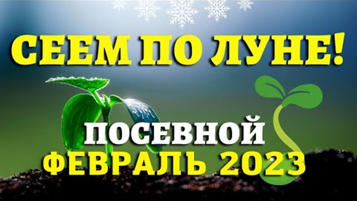 Дачный лунный посевной календарь февраль 2025 Дачный лунный посевной календарь февраль 2025
