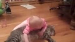 Младенчик играет котом как игрушкой. Однако какая выдержка у...