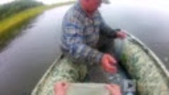 Рыбалка на сети на реке Амур 2020 год, поймали огромного тол...
