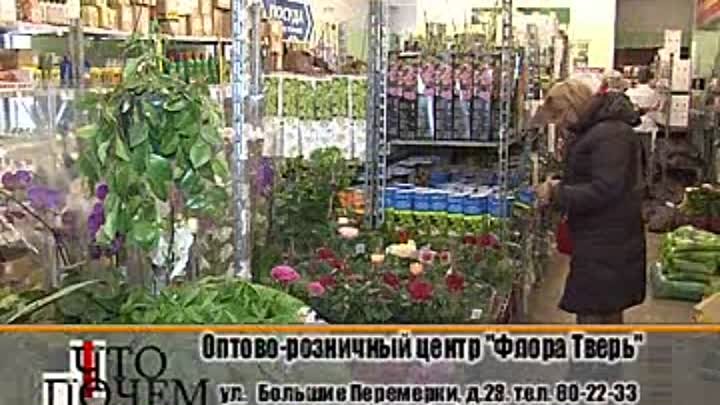 Веста Тверь Интернет Магазин Каталог Тверь