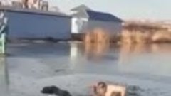 Мужчина спас собаку, которая провалилась под лёд