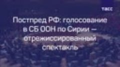 Постпред РФ- голосование в СБ ООН по Сирии — отрежиссированн...