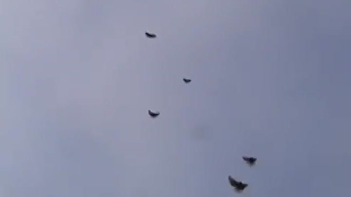 Голуби знакомых.Мелитопольские голуби январь 2018 ветер 6/8 м