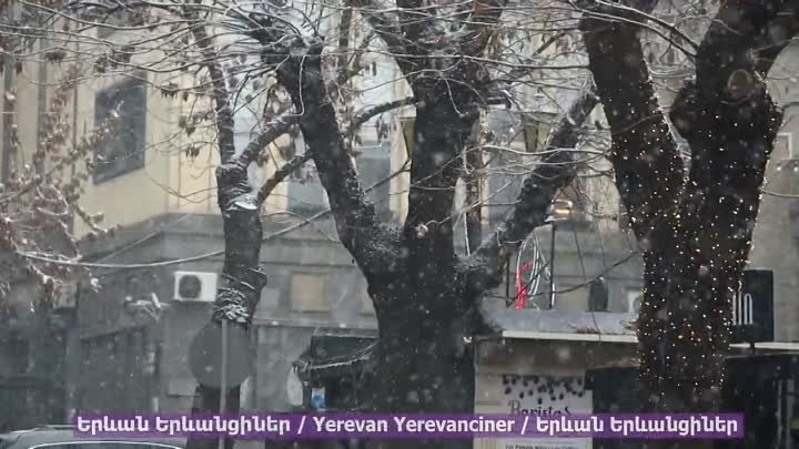 Երևան 29.01.23