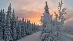 Как же прекрасна наша Зимушка - Зима!🌲❄🌲