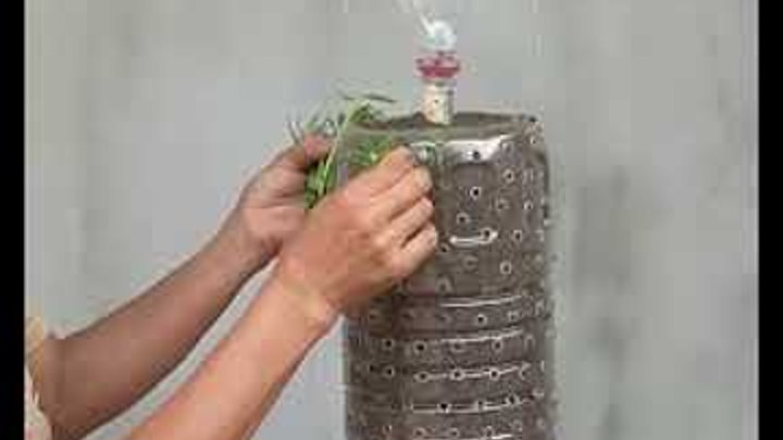 Recycle plastic bottles to make a balcony hanging garden to grow bea ...