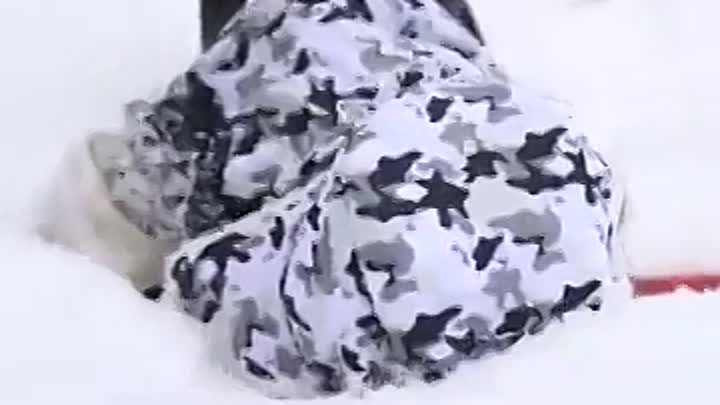 Такса в костюме охотника бегает по снегу - )))
