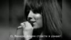 Shocking Blue - Venus