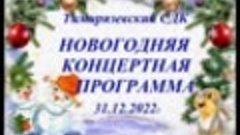 Новогодняя концертная программа 31.12.2022 г.