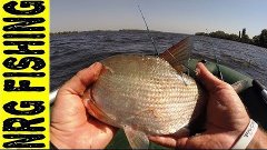 Рыбалка на закидушки донка ЛЕЩ-ПОДЛЕЩ