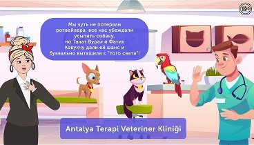 Как работают ветеринарные клиники в Турции? 