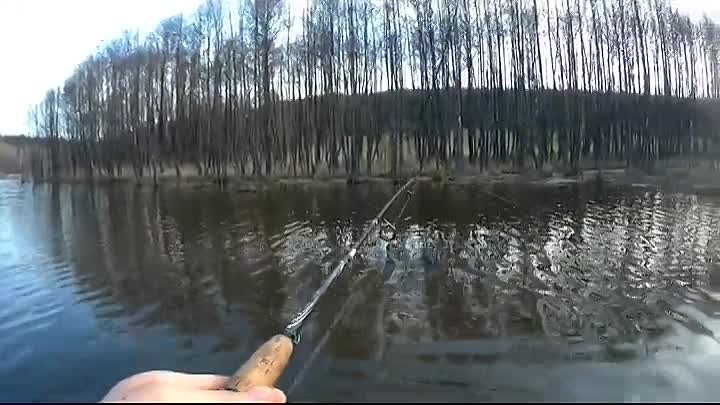 рыбалка пруд
