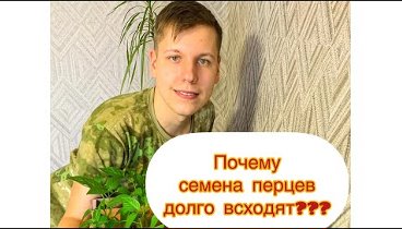 🌶️Всхожесть семян перца🌶️ 5 ключевых моментов посева