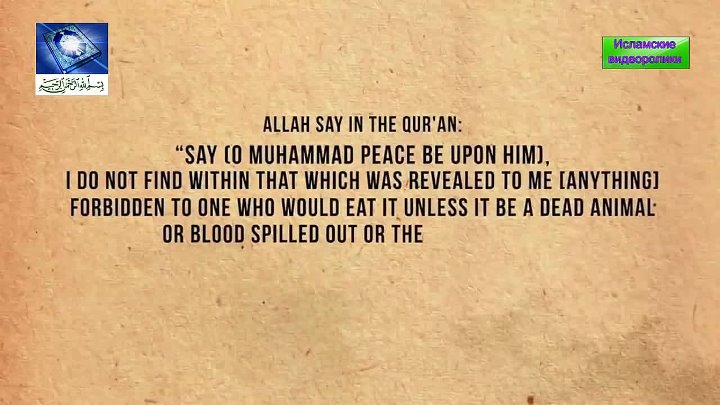 Почему мусульмански нельзя. Почему мусульмане не едят свинину. Почему мусульманам нельзя свинину. Почему у мусульман запрещена свинина. Запрет есть свинину в Коране.