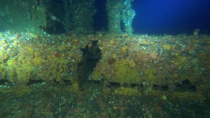 Американская подводная лодка «Херринг». ЦПИ РГО