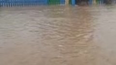 Потоп в деревне Островки