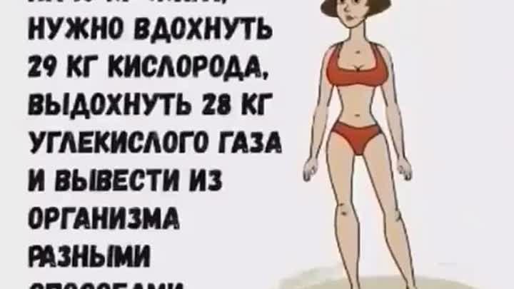 Куда девается жир