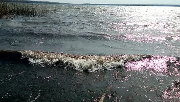 Шторм на Карачуновском водохранилище