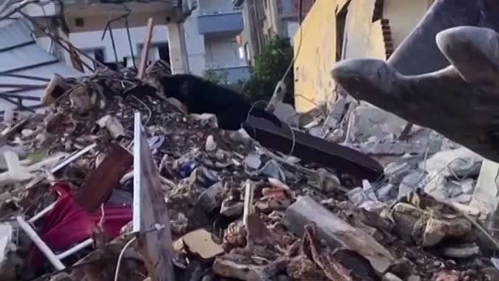 Турция после землетрясения, собаки работают на износ, как и люди 