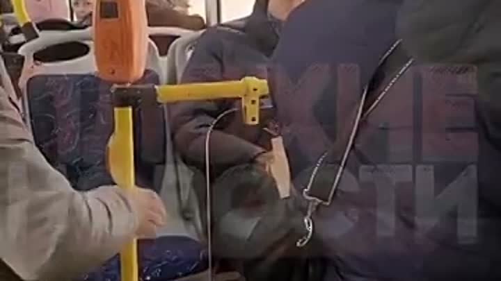 В Питере мигрант справил нужду прямо в автобусе