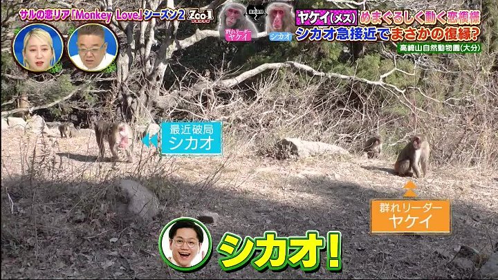 ＺＯＯ−１グランプリ 動画 陣内智則 河北麻友子 道枝駿佑（なにわ男子）| 2023年2月7日