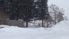 Снегопад в Свердловской области