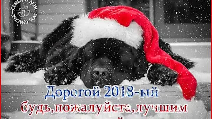 Пусть Новый год , год Собаки, будет для нас с Вами - добрым и ласков ...