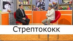 Стрептококк - Школа доктора Комаровского