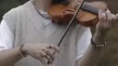 Zotov - violin cover✨