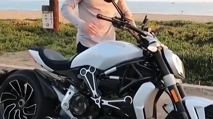 _____🏍🏍🏍🏍🏍🏍🏍🏍🏍🏍🏍🏍🏍🏍____