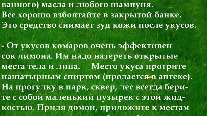 Как снять зуд от укусов комаров  Народные средства от укусов комаров