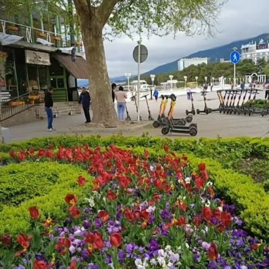 Как выглядит геленджик сейчас Как выглядит геленджик сейчас