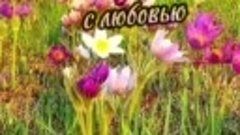 Счастья здоровья и любви вам друзья 