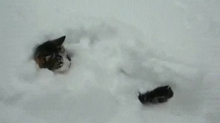 Любитель снега