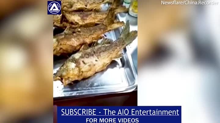 Fish suddenly starts twitching on dinner table in China