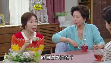 [HD] [初]韓国ホームドラマ「ヒョンジェは美しい」 第３１話（字幕版）