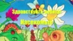 Насекомые