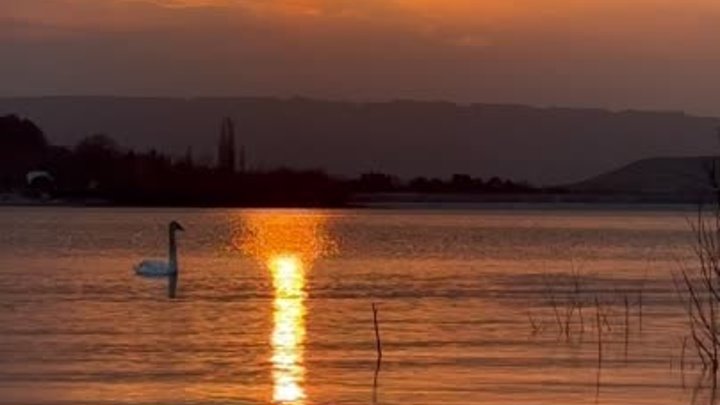 Закат и лебедь на водохранилище в Бахчисарае